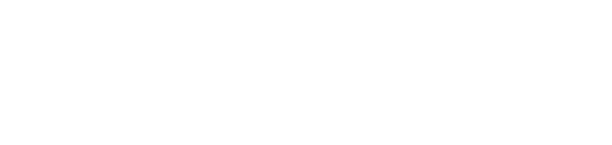 Da Vinchi Logo